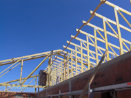 Neubau Stall