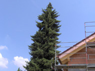 Sanierung Fam. Büscher