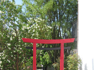 Asientor Kuttenreich