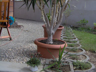 Terrasse Fam. Ehrentaler