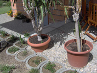 Terrasse Fam. Ehrentaler